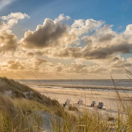 Strandburg *
